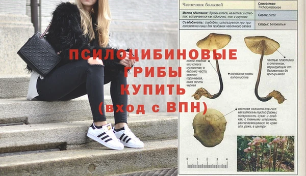 дурь Вязники